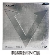 �����׽���V���