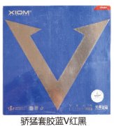 �����׽���V���