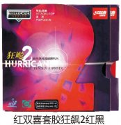 ��˫ϲ�׽����2���