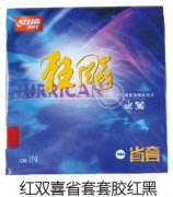 ��˫ϲʡ���׽����