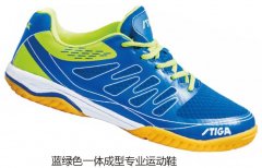 ����ɫһ�����רҵ�˶�Ь