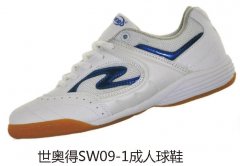 ���µ�SW09-1������Ь