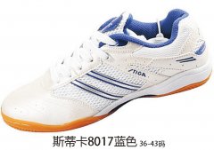 ˹�ٿ�8017��ɫ