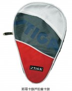 ˹�ٿ���«���׿�װ