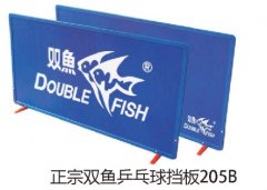 ����˫��ƹ���򵲰�205B