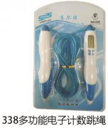 338�๦�ܵ��Ӽ�������