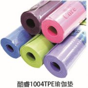 ���1004TPE�٤��