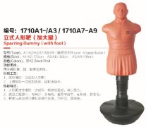 ��ʽ���ΰ�