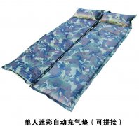 �����Բ��Զ������棨��ƴ�ӣ�